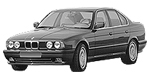 BMW E34 P0329 Fault Code